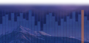 About Analytic Integrity